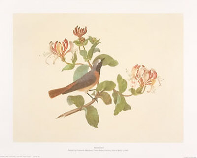 Redstart by Frances Le Marchant Pricing Limited Edition Print image