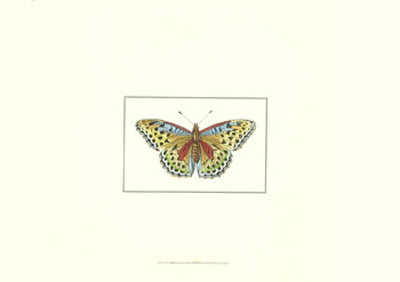 Profile Of A Butterfly Iv by George Shaw Pricing Limited Edition Print image