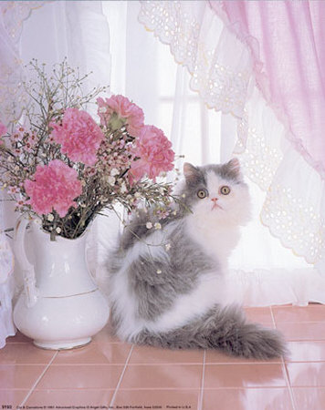 Cat And Carnations by Diane Leis Pricing Limited Edition Print image