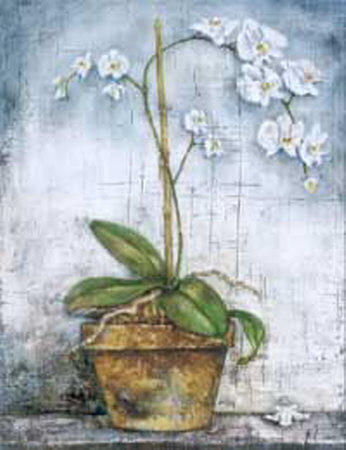 Orchid On Blue by Tina Chaden Pricing Limited Edition Print image