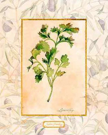 Italian Parsley by Lucinda Foy Pricing Limited Edition Print image