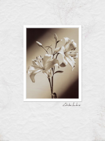 Black And White Iiii by Edoardo Sardano Pricing Limited Edition Print image
