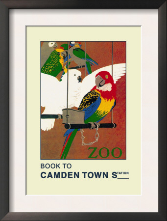 The London Zoo: Exotic Birds by S.T.C. Weeks Pricing Limited Edition Print image