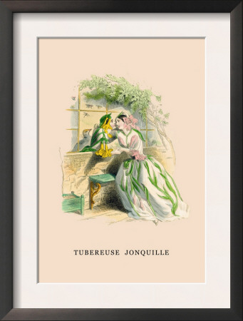Tubereuse Jonquille by J.J. Grandville Pricing Limited Edition Print image
