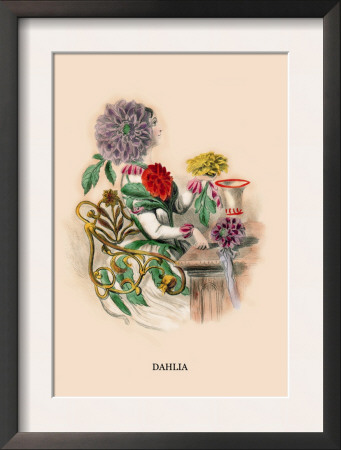 Dahlia by J.J. Grandville Pricing Limited Edition Print image