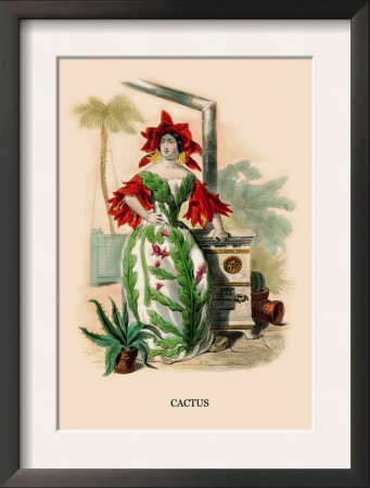 Cactus by J.J. Grandville Pricing Limited Edition Print image