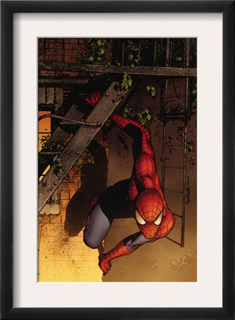 Marvel Adventures Spider-Man #41 Cover: Spider-Man by Sean Murphy Pricing Limited Edition Print image