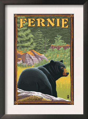 Fernie, Bc - Bear In Forest, C.2009 by Lantern Press Pricing Limited Edition Print image