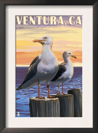 Ventura, California - Seagulls, C.2009 by Lantern Press Pricing Limited Edition Print image