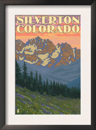 Silverton, Colorado - Spring Flowers, C.2009 by Lantern Press Pricing Limited Edition Print image