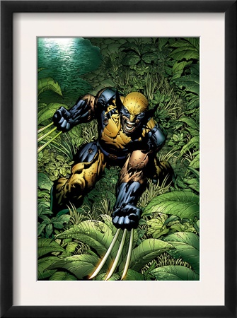 New Avengers #5 Cover: Wolverine Crouching by David Finch Pricing Limited Edition Print image