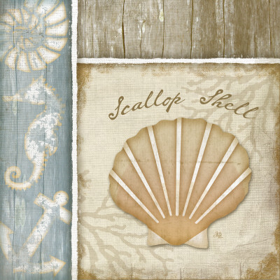Scallop Shell by Jennifer Pugh Pricing Limited Edition Print image