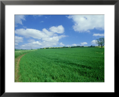 Field In Summer by Mike England Pricing Limited Edition Print image