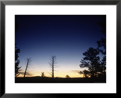 Bryce Canyon, Sunrise, Utah by Timothy O'keefe Pricing Limited Edition Print image