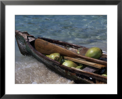 Coconuts In Canoe, Pequeno, Garifum, Cochino by Timothy O'keefe Pricing Limited Edition Print image
