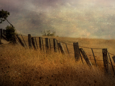 Roadside #1 by Tracy Edgar Pricing Limited Edition Print image