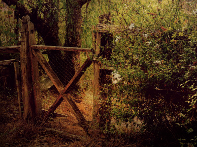 Shack #7 by Tracy Edgar Pricing Limited Edition Print image