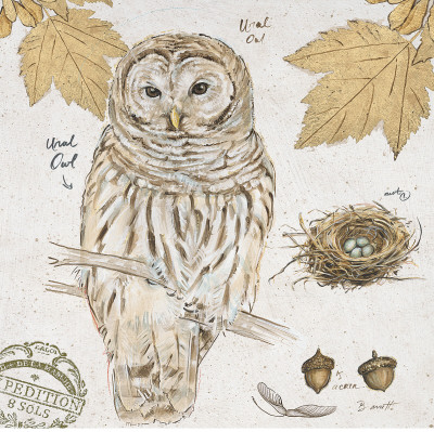 Ural Owl by Chad Barrett Pricing Limited Edition Print image