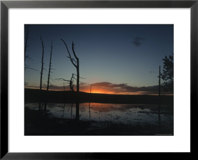 Sunset, Yellowstone National Park by Bruce Clarke Pricing Limited Edition Print image
