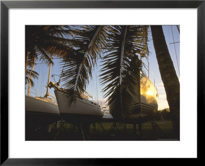 Boats At Sunrise, Nanny Cay Marina, Tortola Island by Alessandro Gandolfi Pricing Limited Edition Print image