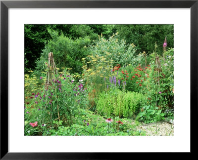 Wigwam Supports In Abundant Summer Border With Planting Of Bergamot And Fennel by Mark Bolton Pricing Limited Edition Print image