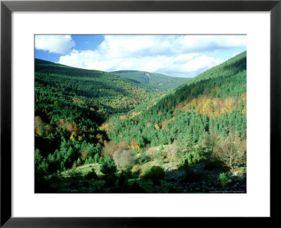 Sierra Cebollera, Spain by Antinolo Jorge Sierra Pricing Limited Edition Print image