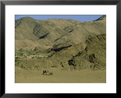 Desert-Dwelling Elephant, Mother And Calf In Desert, Hoanib River Valley by Martyn Colbeck Pricing Limited Edition Print image