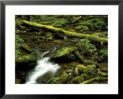 Creek Waterfall On Cucumber Gap Trail, Tn by Willard Clay Pricing Limited Edition Print image