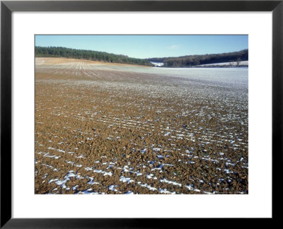 Linseed Field In Winter, England, Uk by Mike England Pricing Limited Edition Print image