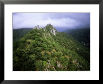 Sierra De Tamaulipas, Mexico by Patricio Robles Gil Pricing Limited Edition Print image