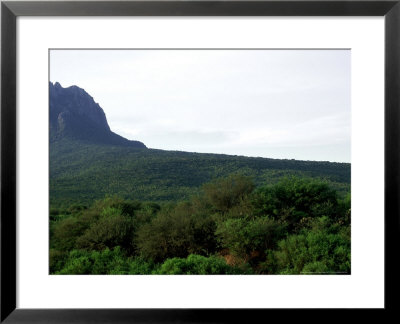 El Bernal Protected Area, Mexico by Patricio Robles Gil Pricing Limited Edition Print image