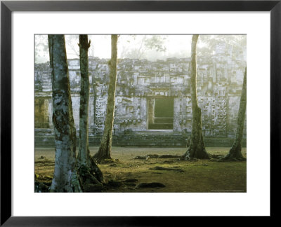 Maya Archaeological Site, Yucatan Peninsula, Mexico by Patricio Robles Gil Pricing Limited Edition Print image