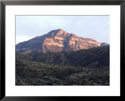 Chihuahuan Desert, Mexico by Patricio Robles Gil Pricing Limited Edition Print image