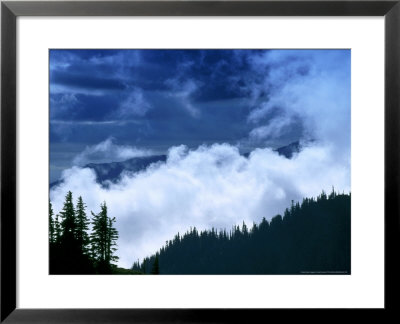 Hurricane Ridge, Pines & Ridges, Washington, Usa by Mark Hamblin Pricing Limited Edition Print image