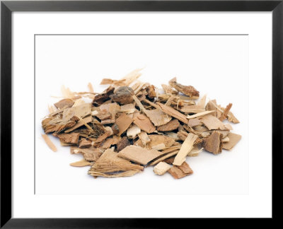 White Poplar, Dried Bark by Geoff Kidd Pricing Limited Edition Print image