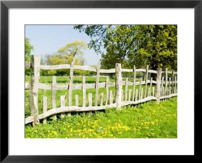 Deer-Proof Fence, Warwickshire, Uk by Martin Page Pricing Limited Edition Print image