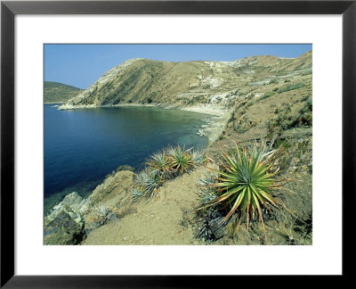 Isla Del Sol In Lake Titicaca, Bolivia by Richard Packwood Pricing Limited Edition Print image