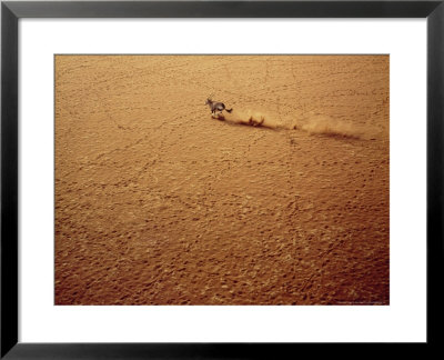 Oryx, Running In The Namib Desert by Mary Plage Pricing Limited Edition Print image