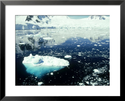 Icebergs, Antarctic Peninsula by Rick Price Pricing Limited Edition Print image