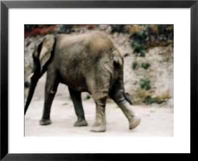 Blurred Image Of An Elephant Walking Away by Dane Holweger Pricing Limited Edition Print image