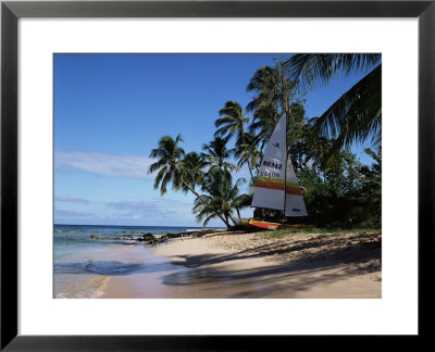 Barbados, West Indies, Caribbean, Central America by Robert Harding Pricing Limited Edition Print image