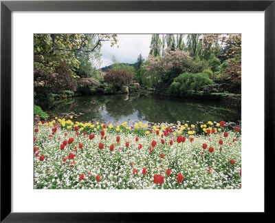 Tulips In The Butchart Gardens, Vancouver Island, Canada, British Columbia, North America by Alison Wright Pricing Limited Edition Print image