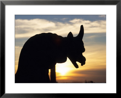 Sunset On Chimera Of Notre Dame Cathedral, Paris, France by David Barnes Pricing Limited Edition Print image