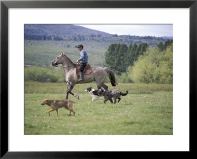 Cowboy In Irrigated Pasture, Chubut Province, Cholila Valley, Argentina by Lin Alder Pricing Limited Edition Print image