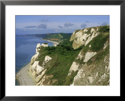 Hoskon Landslip, Beer Head, From Coastal Path, East Devon, England, Uk by Michael Black Pricing Limited Edition Print image