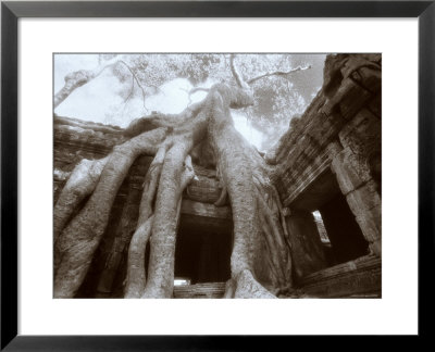 Ta Prohm, Angkor, Cambodia by Walter Bibikow Pricing Limited Edition Print image