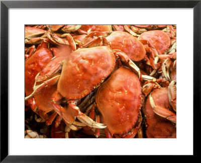 Fresh Crab In Pike Street Market, Seattle, Washington, Usa by Janis Miglavs Pricing Limited Edition Print image