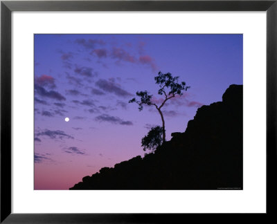 Section Of Larapinta Trail Silhouetted In Evening, West Macdonnell National Park, Australia by Paul Sinclair Pricing Limited Edition Print image