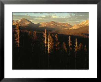View Of A Range Of The Sierra Nevada Mountains In The Late Day Sun by Phil Schermeister Pricing Limited Edition Print image