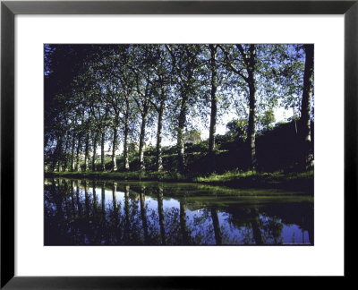 Elm Trees Lining Canal At Trebes, Thomas Jefferson's Journey In France by Walter Sanders Pricing Limited Edition Print image